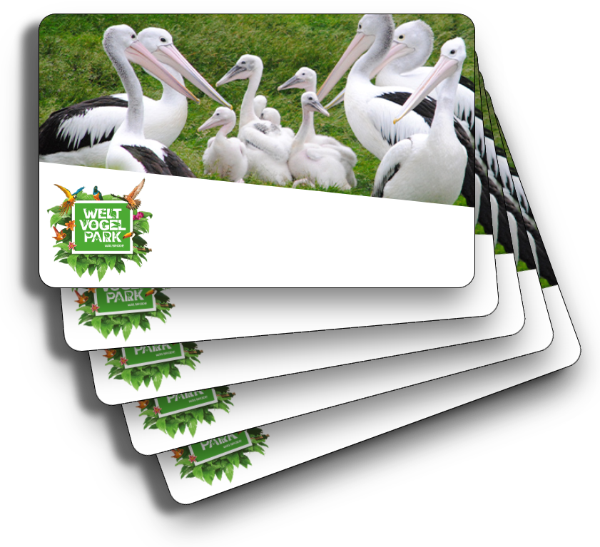 Dieses Bild zeigt einen Preis